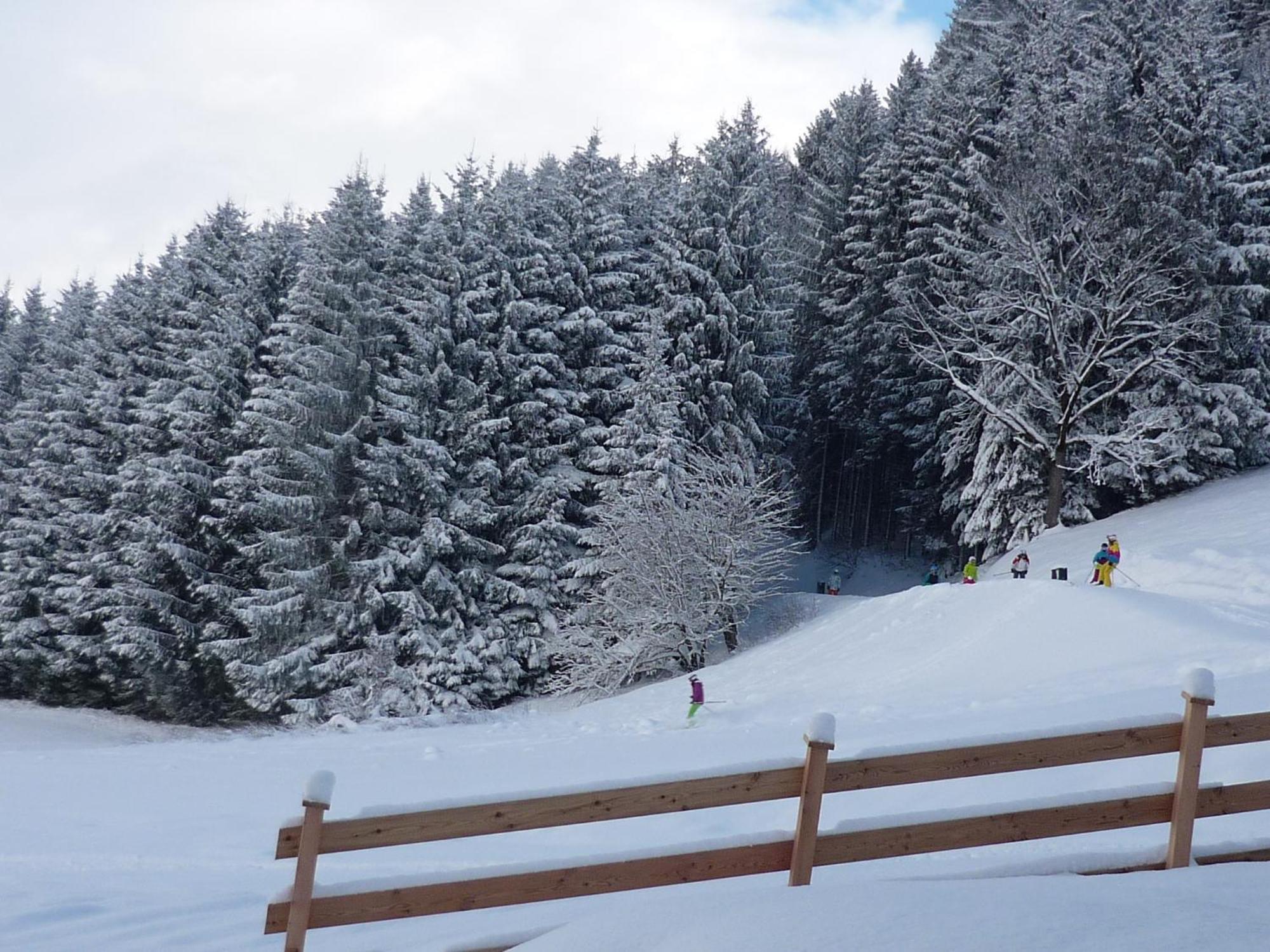 Penthouse Alpine Living Direkt An Der Skipiste By Schladmingurlaub هاوس إم إنيستال المظهر الخارجي الصورة